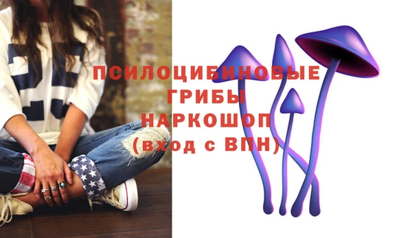 а пвп мука Алексин