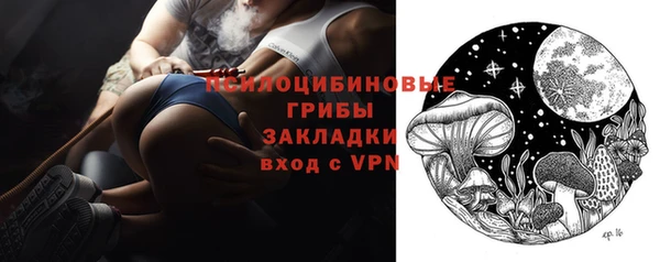 ECSTASY Алзамай