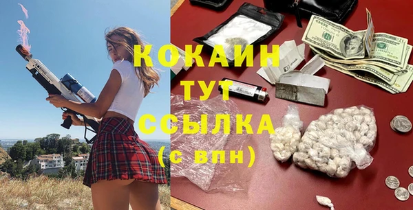 ECSTASY Алзамай