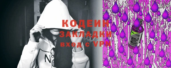 ECSTASY Алзамай