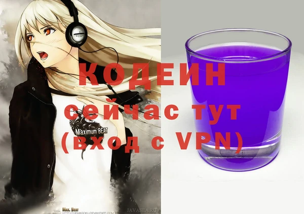 ECSTASY Алзамай