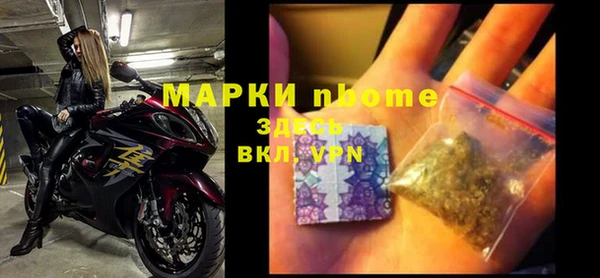 ECSTASY Алзамай