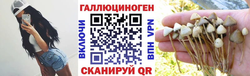 OMG зеркало Ливны Галлюциногенные грибы GOLDEN TEACHER