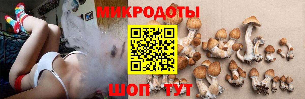 сколько стоит  Вход с VPN  Галлюциногенные грибы GOLDEN TEACHER  Ливны  Псилоцибиновые грибы мицелий 
