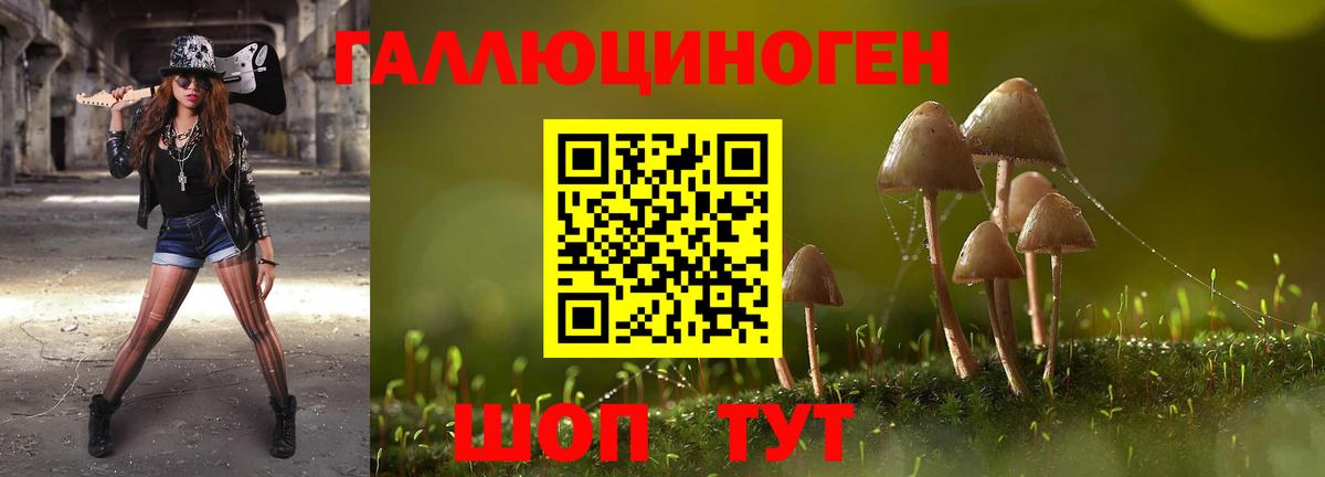 Галлюциногенные грибы ЛСД Ливны